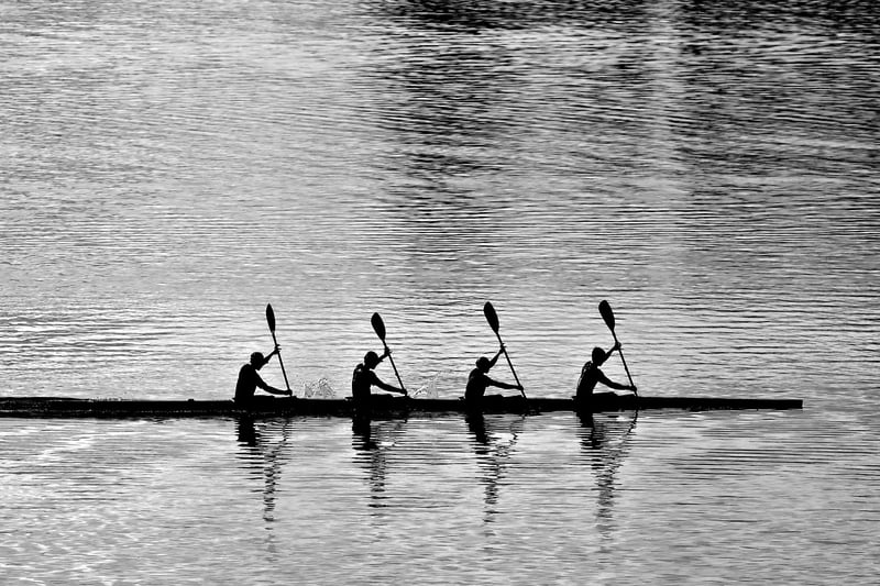 Nature Synchronization